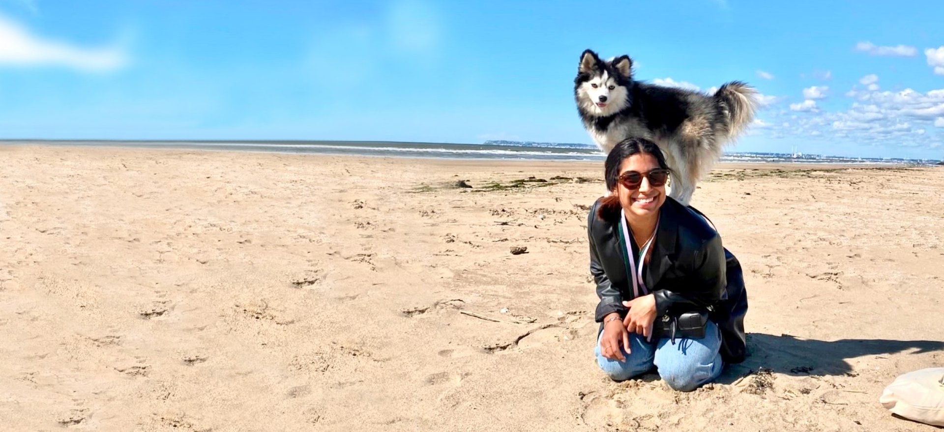 Caractère du Pomsky, tout savoir pour mieux le comprendre